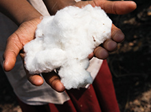 Why Organic Cotton?